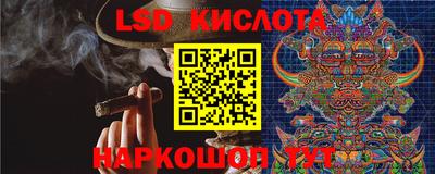 PSILOCYBIN Будённовск