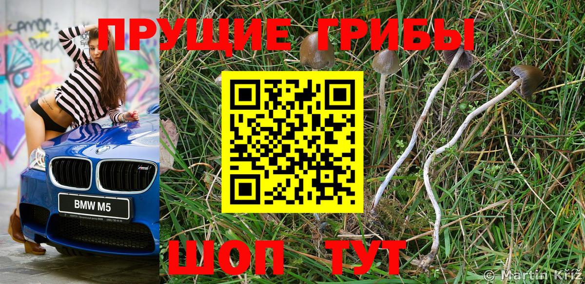 Мелеуз  Псилоцибиновые грибы MAGIC MUSHROOMS  что такое наркотик  Вход с VPN 