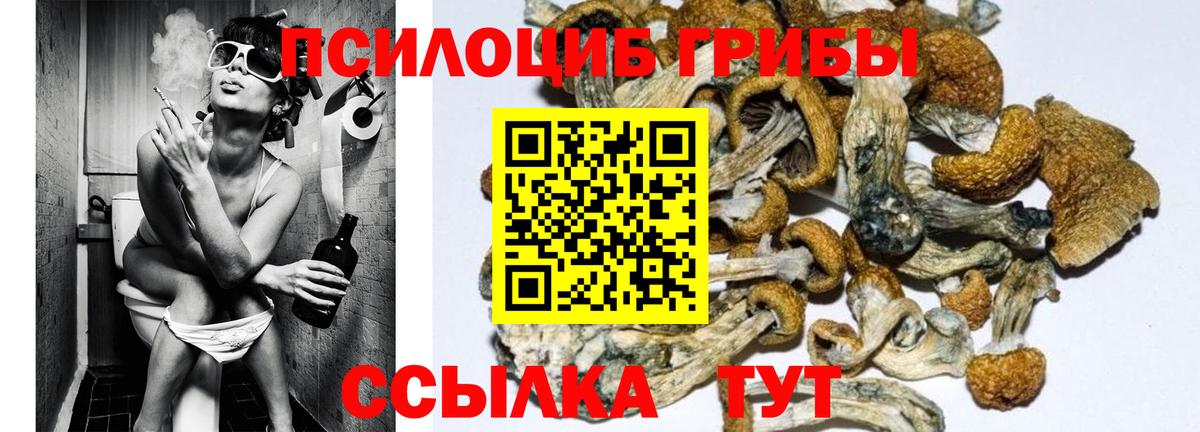 Псилоцибиновые грибы Magic Shrooms Мелеуз